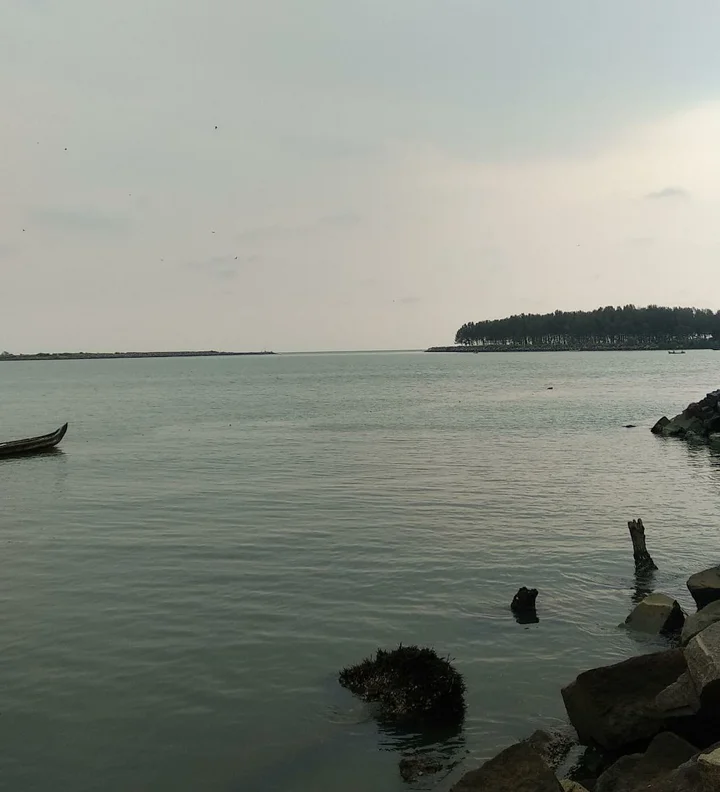 Tirur Puzha in Tirur, Kerala | What to Know Before You Go