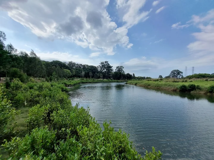 Pine Rivers Park in Albany Creek - Ask AI | mindtrip