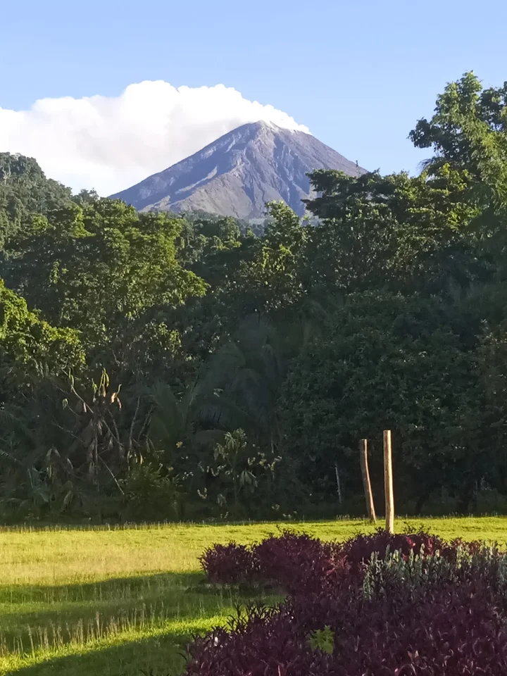 Peace Park in Arawa | What to Know Before You Go