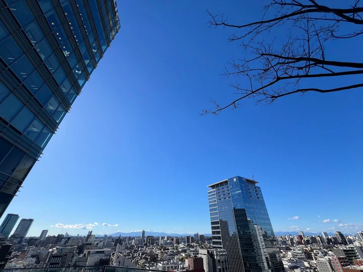 Shibuya Parco Rooftop Park in Tokyo - Ask AI | mindtrip
