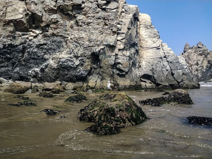 Playa, Asia perú in Asia, Central Peru | Ask Anything