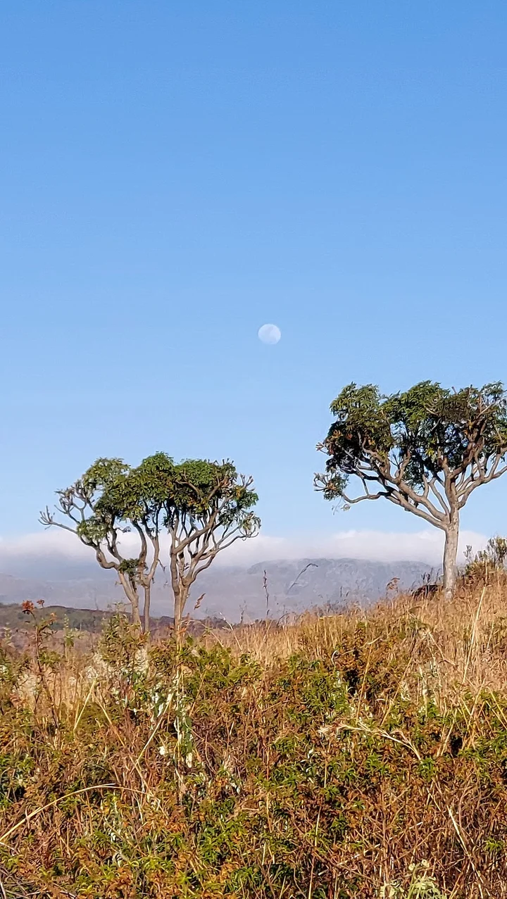 Mount Nyangani in Nyanga - Ask AI | mindtrip