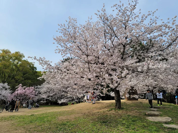 Nagai Park in Sakai, Osaka Prefecture - Ask AI | mindtrip