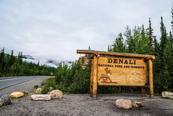 Denali Park Rd in Denali Park | What to Know Before You Go