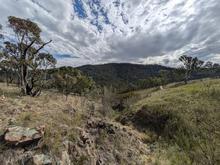 Kambah Pool Reserve in Kambah | Ask Anything