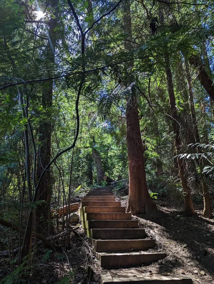 Camp Long in Seattle | What to Know Before You Go