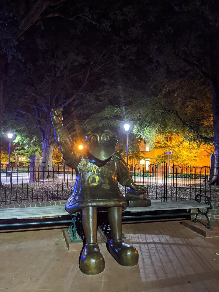 Cocky Mascot Statue in Columbia | What to Know Before You Go