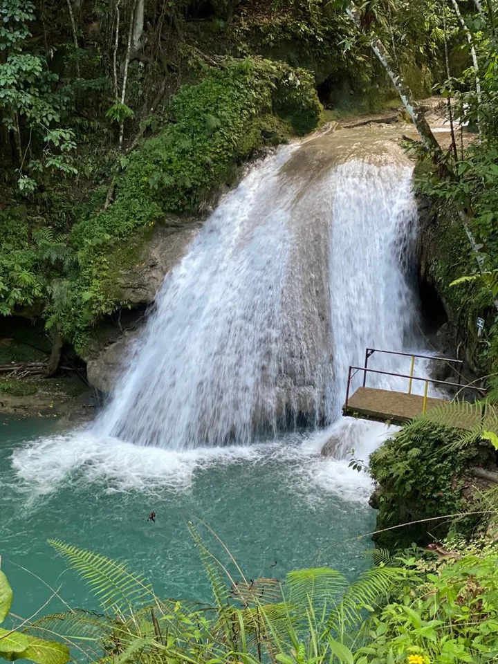 Island Gully Falls in Colgate - Ask AI | mindtrip