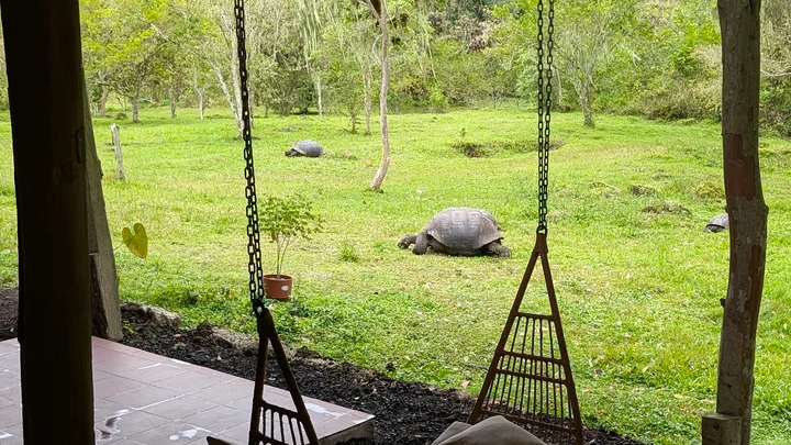 Rancho El Manzanillo | What to Know Before You Go