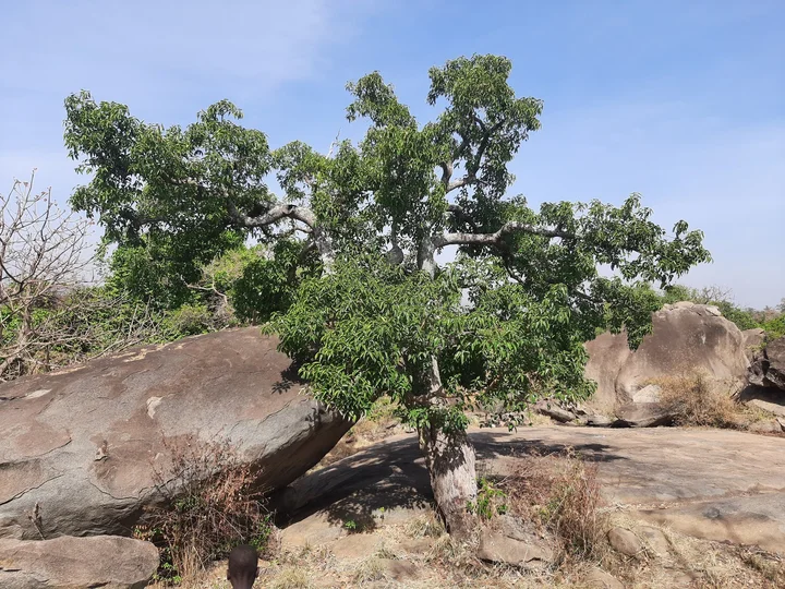 Fort Patiko in Northern Region | Ask Anything