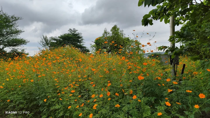 Taljai Hills in Pune, Maharashtra | Ask Anything