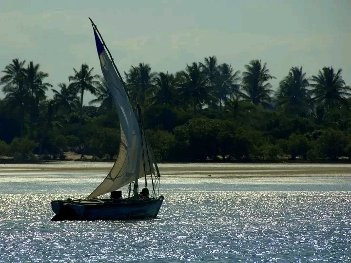 Ilha De Inhaca in Inhaca - Ask AI | mindtrip