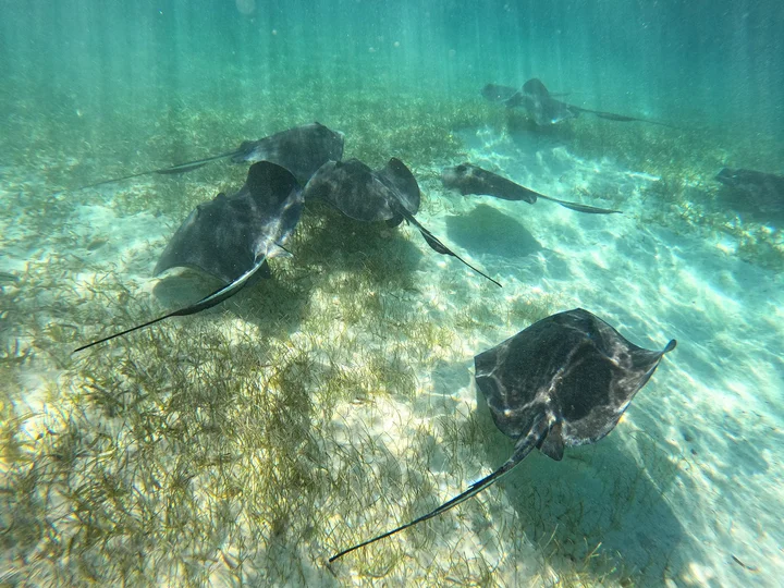 Mexico Rocks in San Pedro | What to Know Before You Go