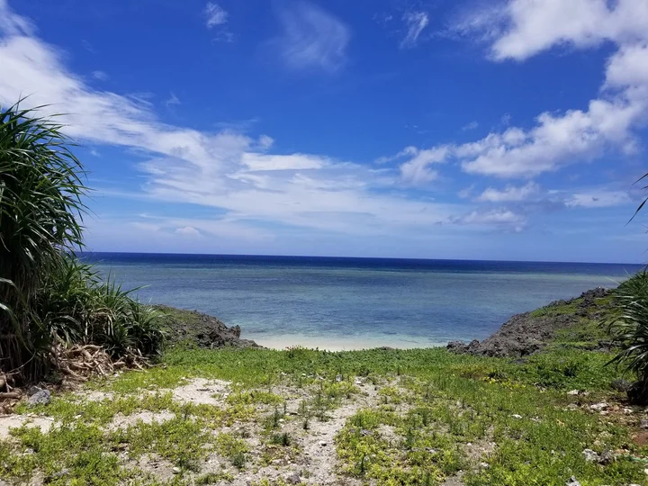 Hatoma Island (Hatoma Jima) | What to Know Before You Go