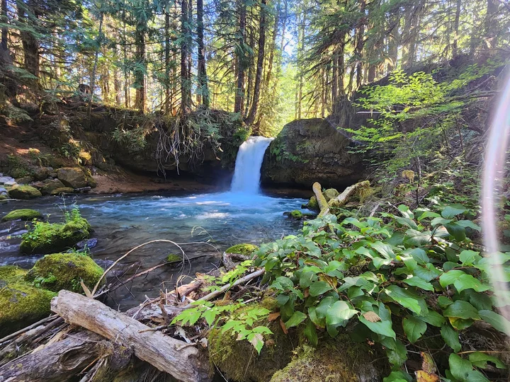 Lake Merwin in Ariel, Washington - Ask AI | mindtrip