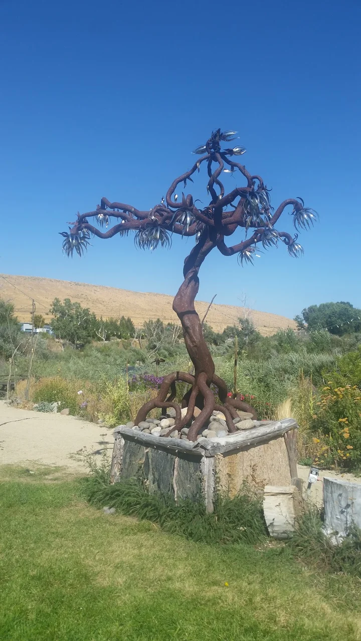 River School Farm in Reno, Nevada - Ask AI | mindtrip