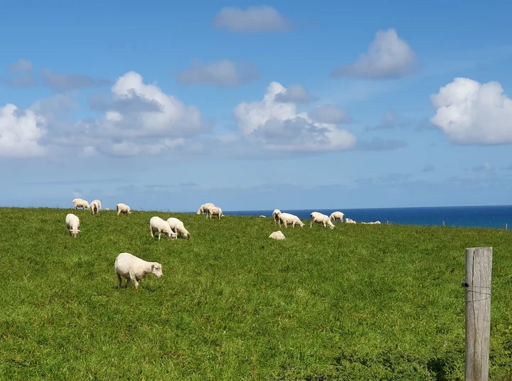Slope Point's End in Slope Point - Ask AI | mindtrip