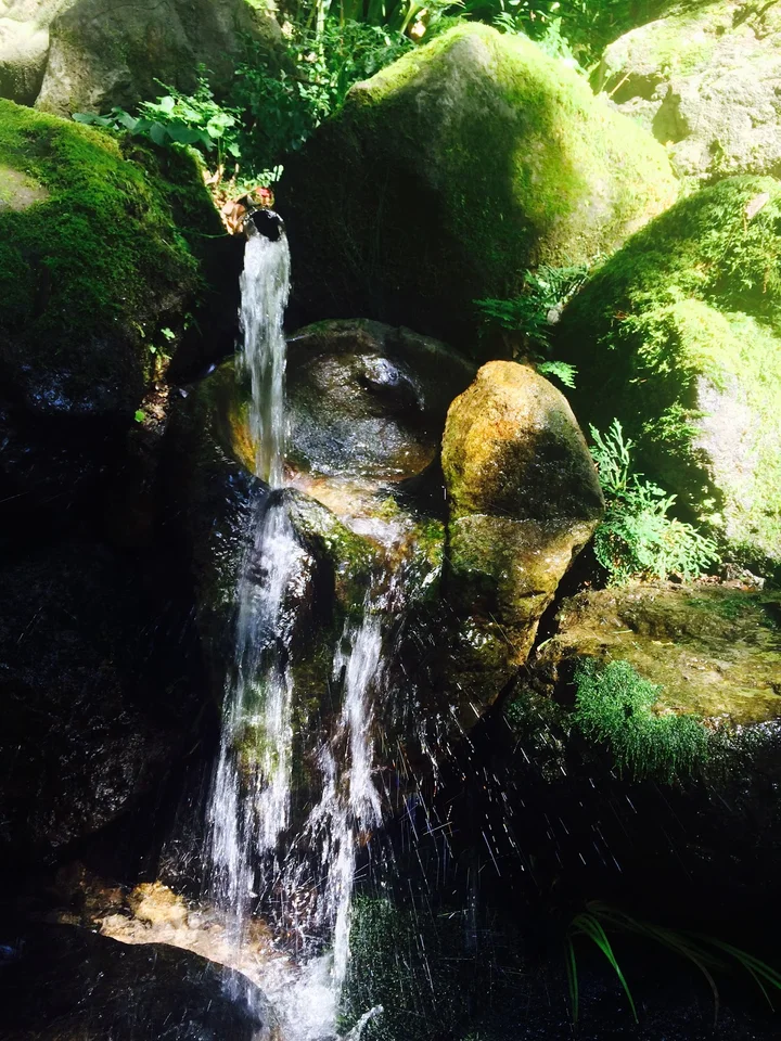 SHIMOSONO MYOUKEN SAMA mountain spring water | Ask Anything