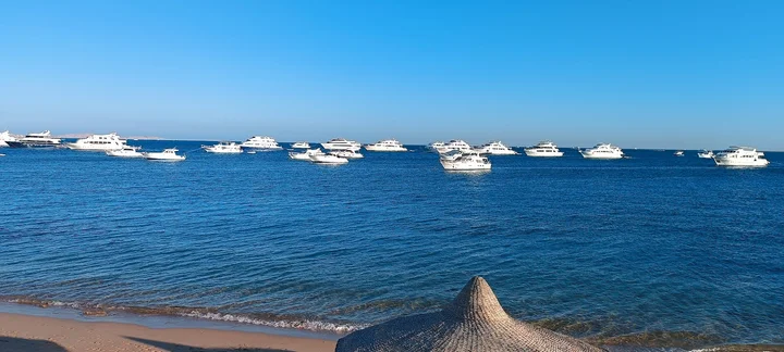 Sheraton Road in Hurghada | Ask Anything