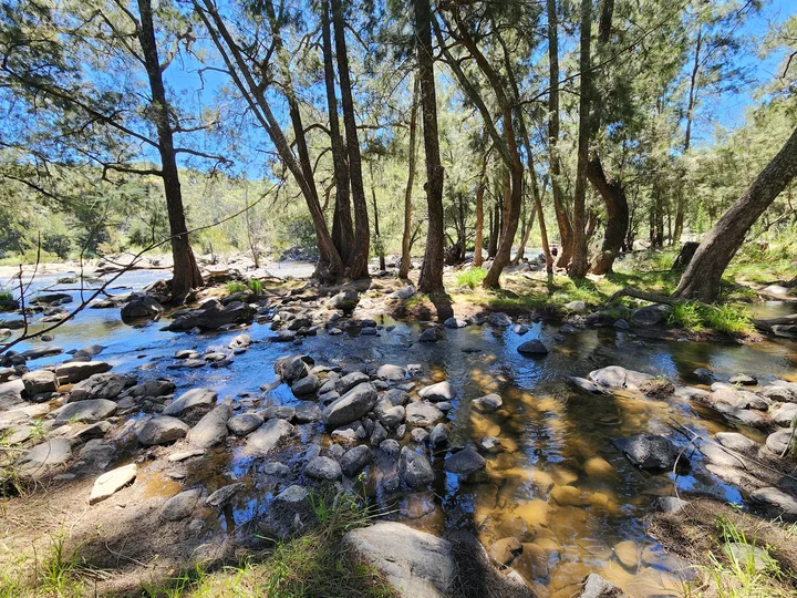 Kambah Pool Reserve in Kambah | Ask Anything
