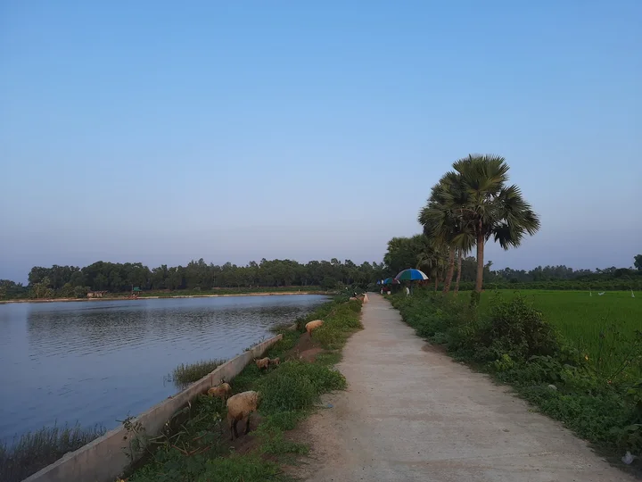 Dibor Dighi in রাজশাহী বিভাগ - Ask AI | mindtrip