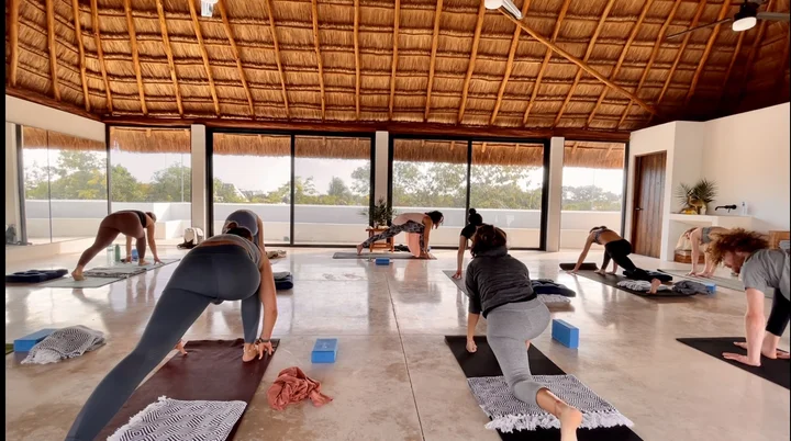 Aligned Flow Yoga School in Tulum | Ask Anything