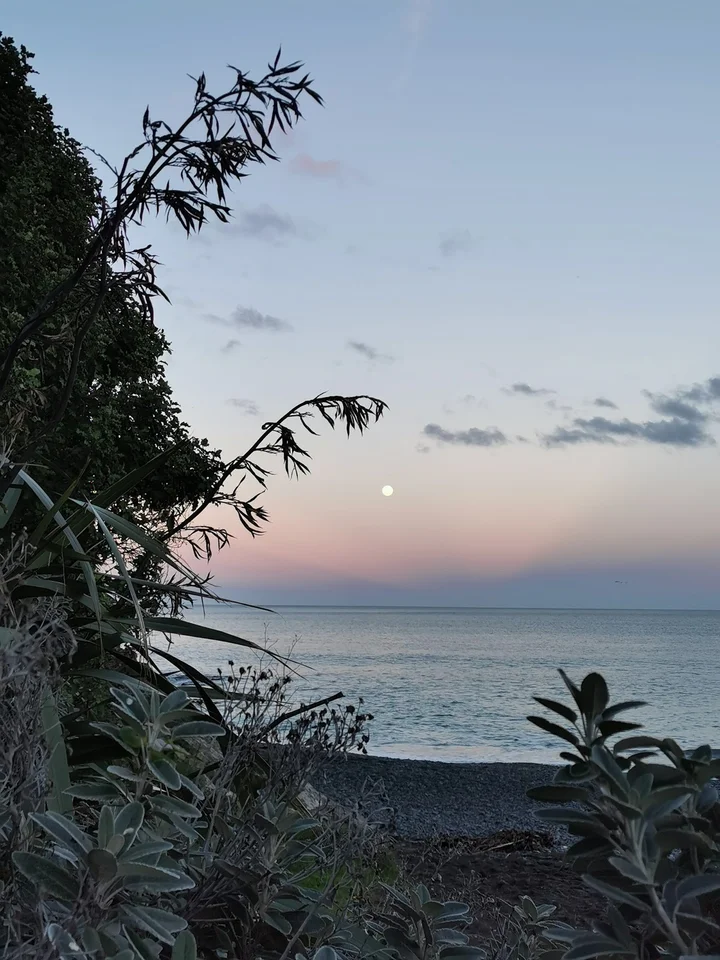 Rarangi Campsite in Tuamarina - Ask AI | mindtrip