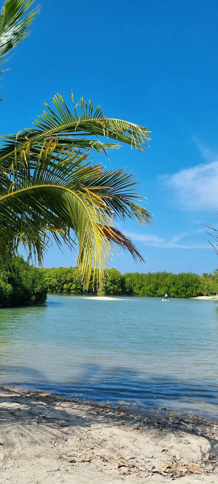 Huraa Mangrove ( Kandoofaa) | What to Know Before You Go