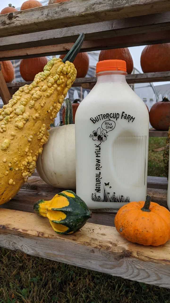 Cold Spring Farm in Colchester - Ask AI | mindtrip