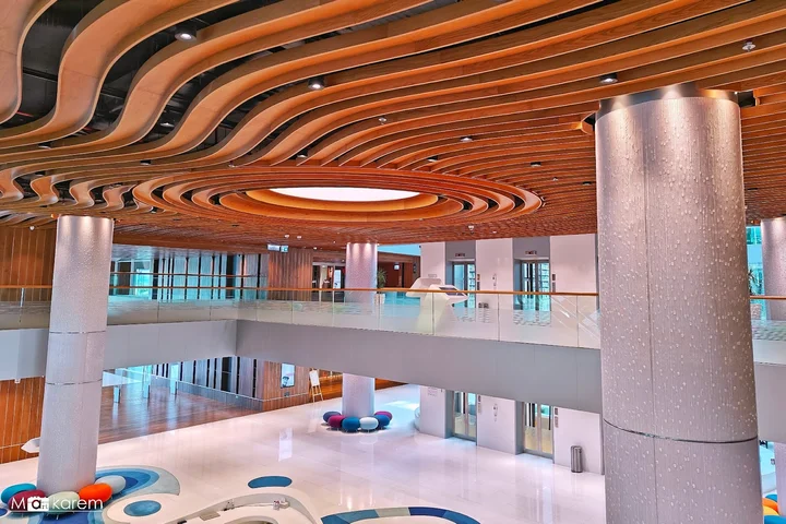 Mohammed bin Rashid Library | What to Know Before You Go