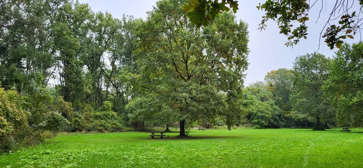 Nationalparkhaus Wien - Lobau in Vienna, Wien | Ask Anything