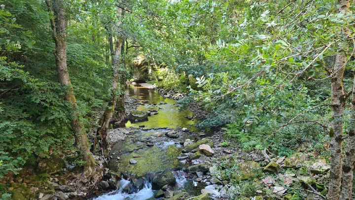 Trabau Ecoturismo in Sisterna, Asturias - Ask AI | mindtrip