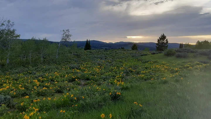 Salt River in Star Valley Ranch | What to Know Before You Go
