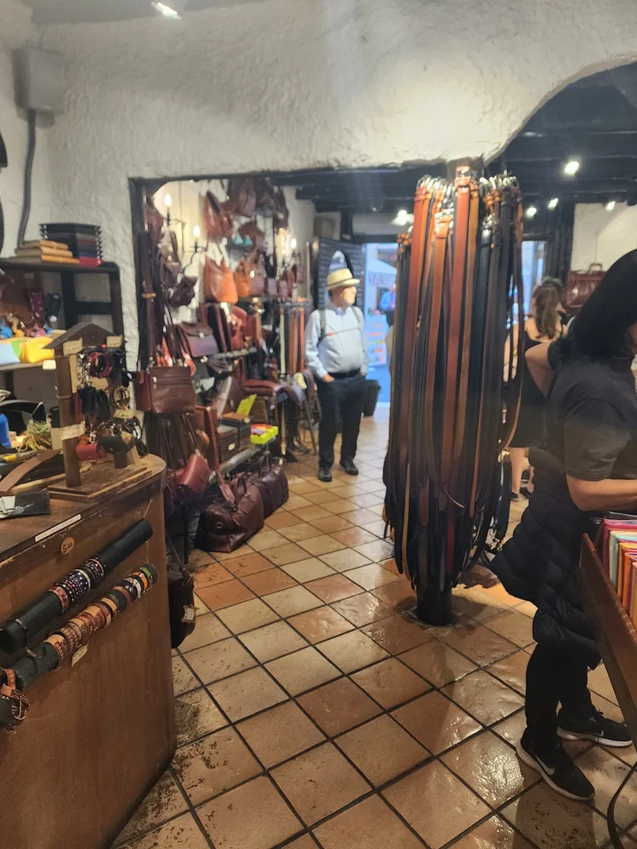 La Sella Roma in Rome, Lazio | Ask Anything