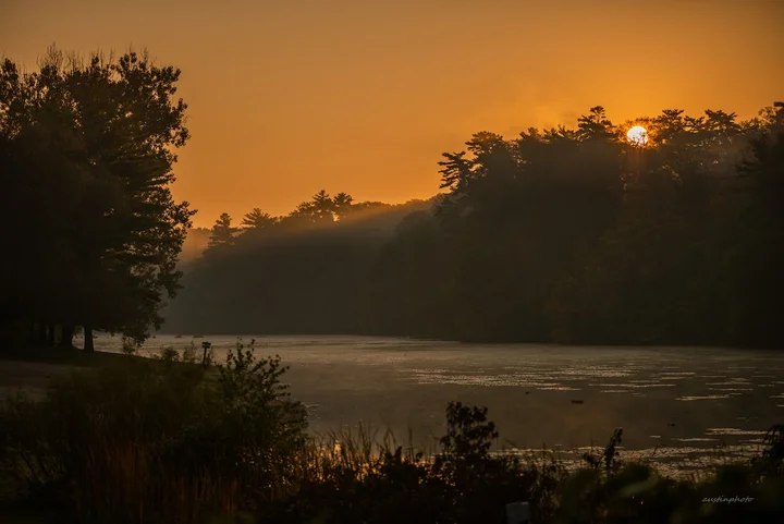 Springwater Conservation Area | What to Know Before You Go
