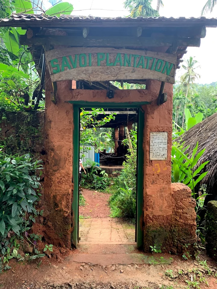 Savoi Plantation in Betki, Goa | What to Know Before You Go