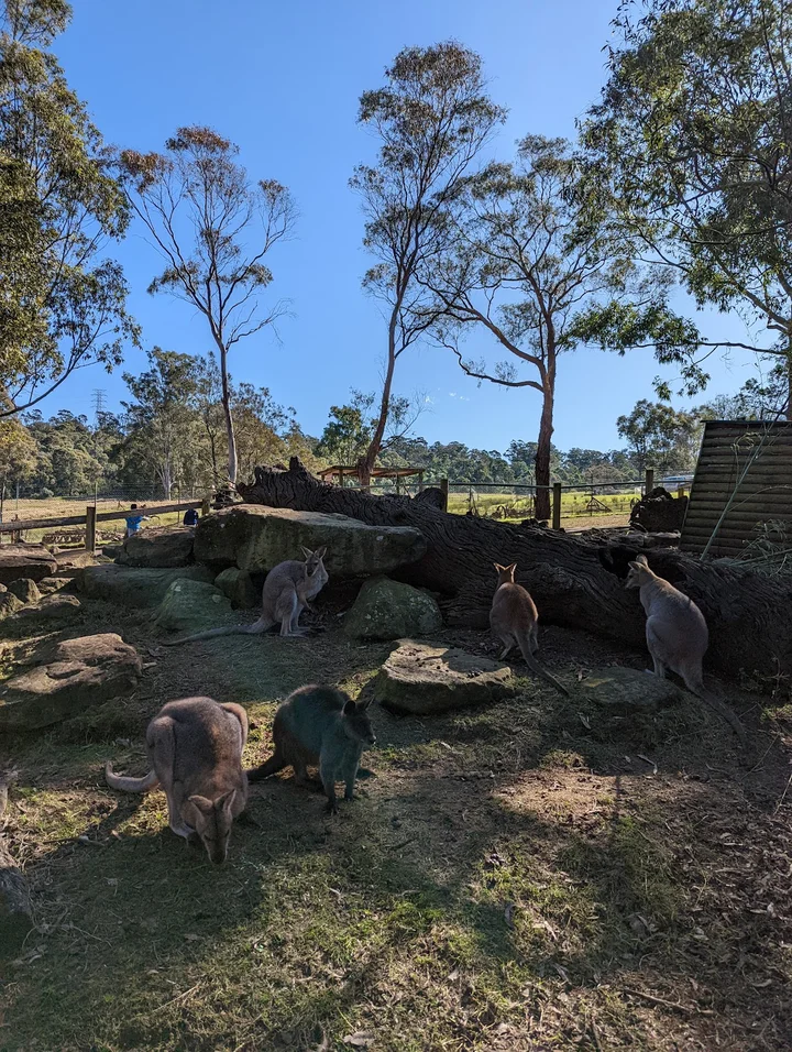 Calmsley Hill City Farm