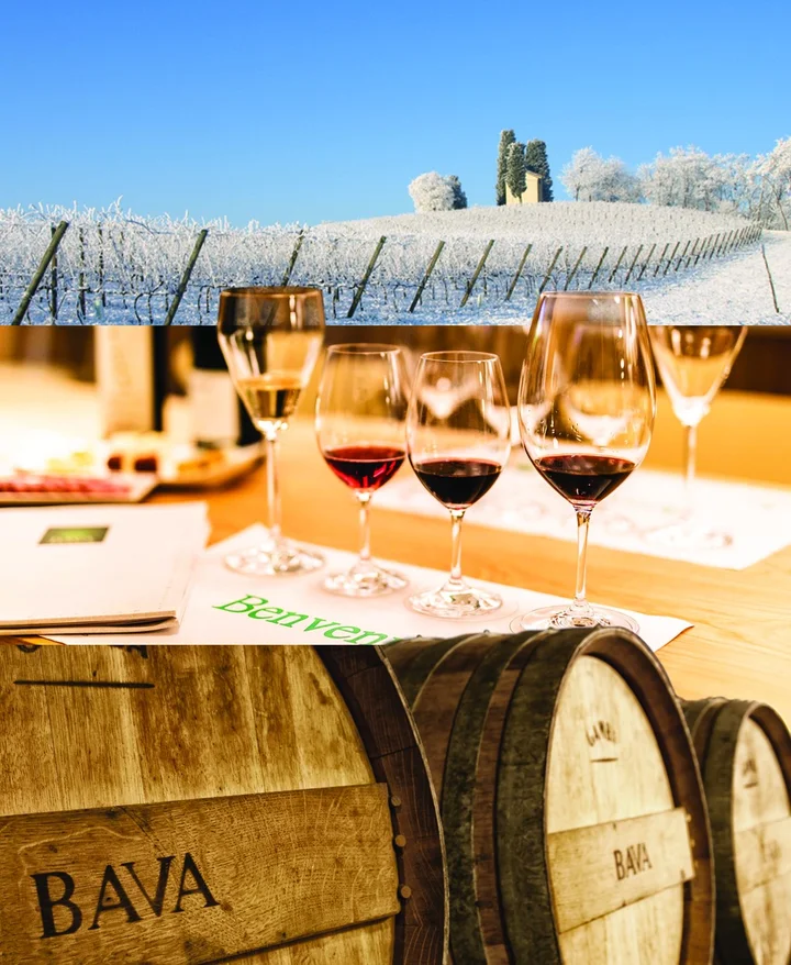 BAVA Winery in Cocconato, Piedmont - Ask AI | mindtrip