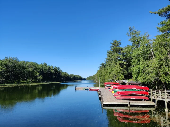 Pinery Provincial Park | What to Know Before You Go