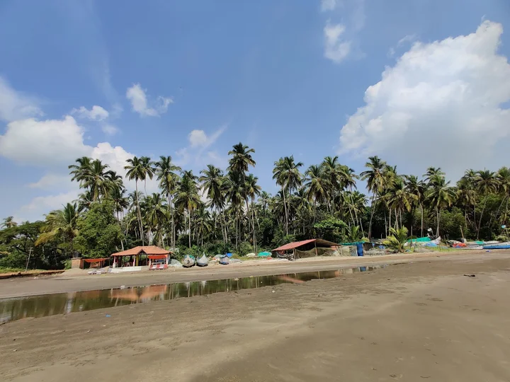 Coco Beach in Candolim, Goa | Ask Anything