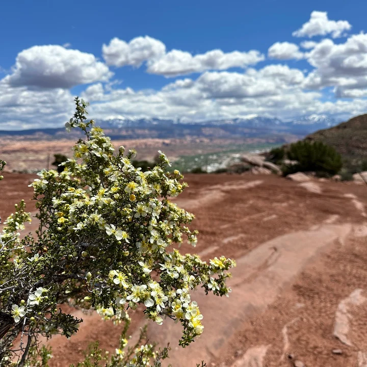 Moab Rim Trailhead in Moab, Utah - Ask AI | mindtrip