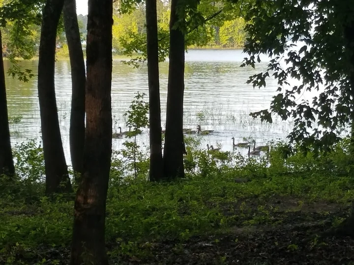 Alpine Ridge Recreation Area | What to Know Before You Go
