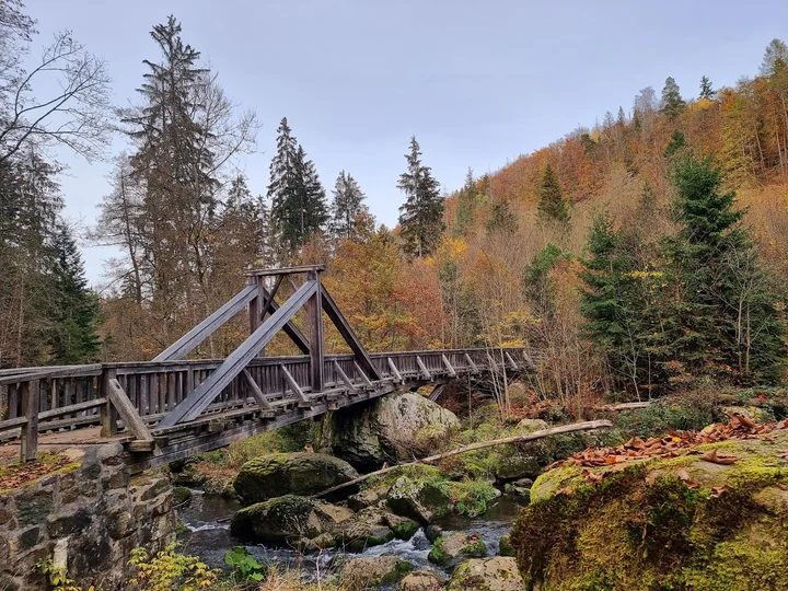 Naila in Bavaria, Germany | What to Know Before You Go
