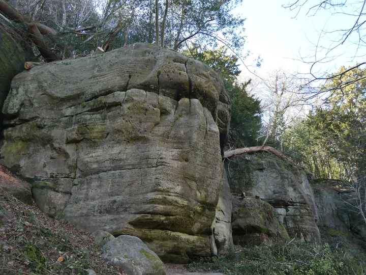 Eridge Rocks Nature Reserve - Sussex Wildlife Trust