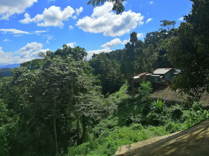 Gunung Rambutan Waterfall - Ask AI | mindtrip
