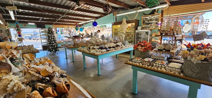 The Shell Shop, Inc. in Morro Bay - Ask AI | mindtrip