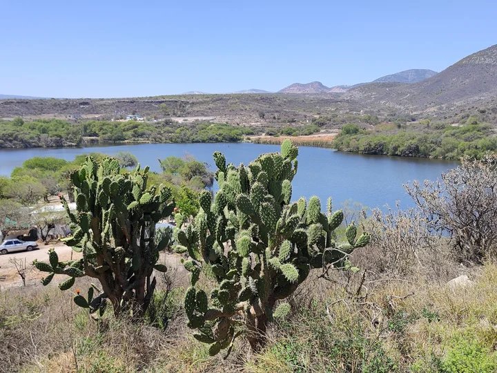 Madhó Corrales in Alfajayucan, Hidalgo | Ask Anything