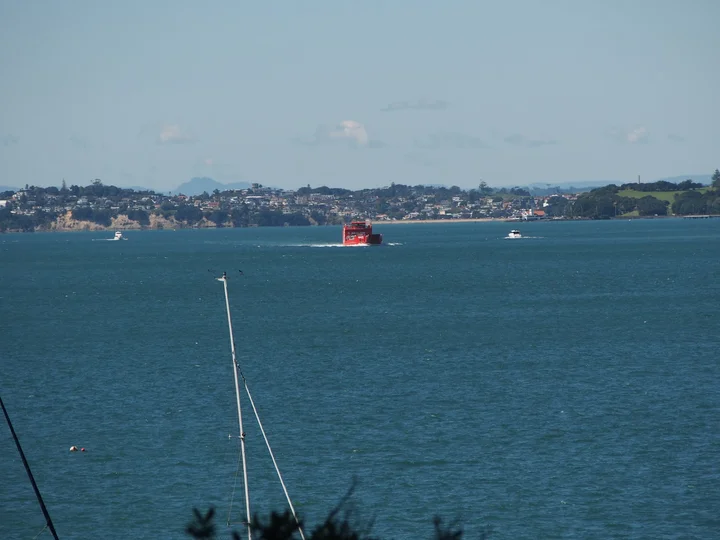 Waitemata Harbour | What to Know Before You Go