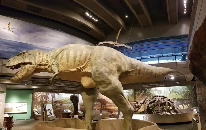 Museum of Science in Boston | What to Know Before You Go