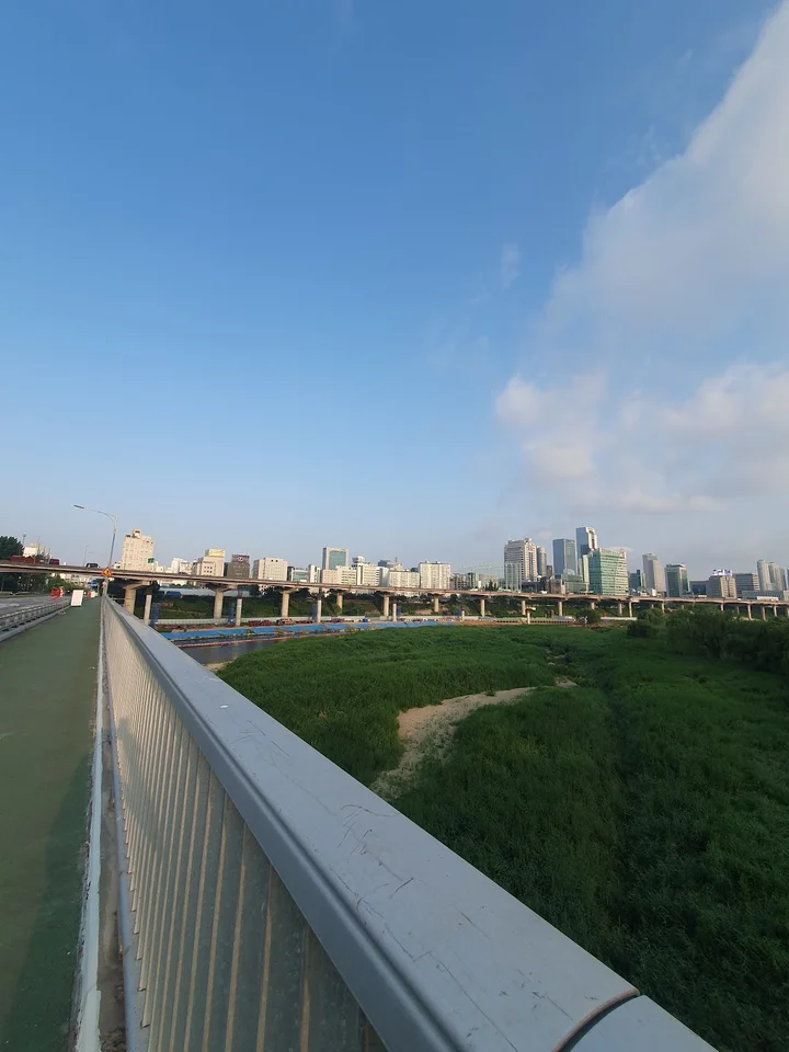 Tancheon Stream in Seoul | Ask Anything